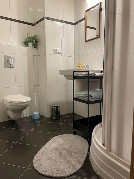 Modern Krymska & Francouzska Street Apartamento Praga